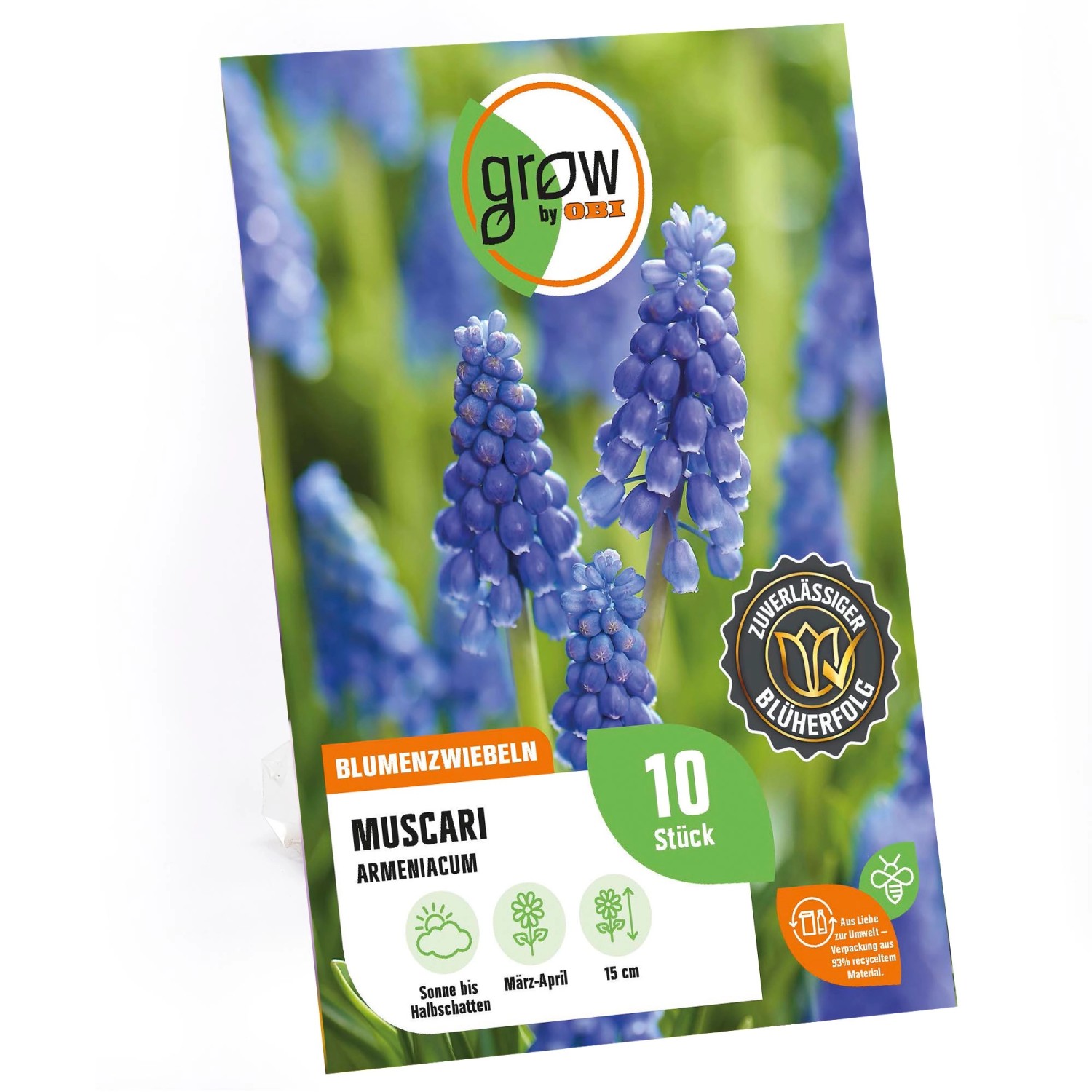 GROW by OBI Traubenhyazinthe Armeniacum Blau 10 Stück Muscari armeniacum günstig online kaufen