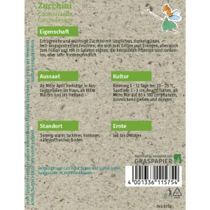 Samenpackung Grüne Fee Zucchini Coucourzelle, samenfest für ca. 7 Pflanzen.