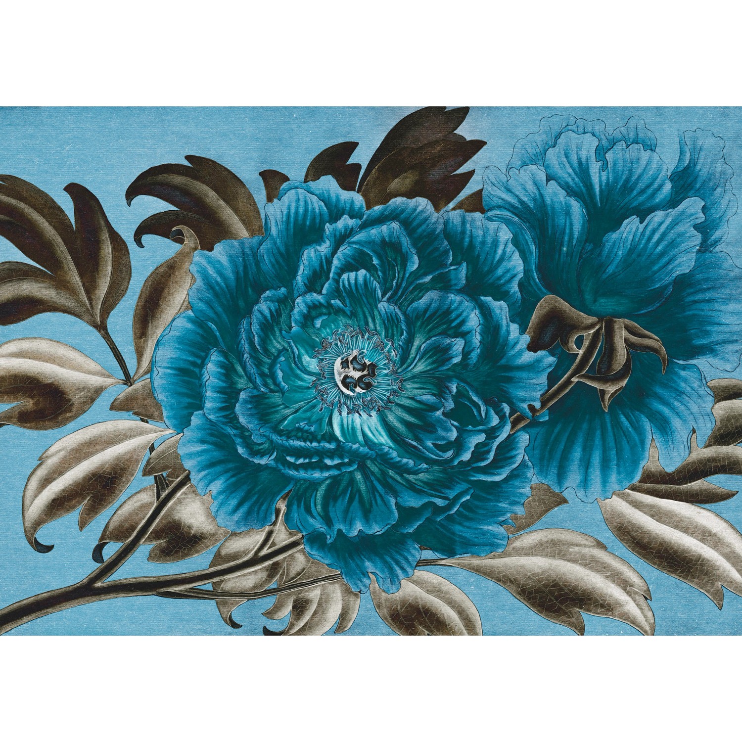 Komar Fototapete Royal Peony Blumen B/L: ca. 350x250 cm günstig online kaufen