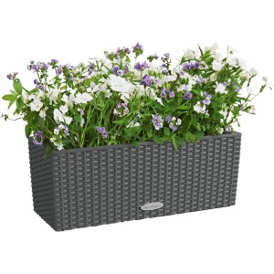Lechuza Balconera Cottage 50 Granit, Blumenkasten mit Bewässerungssystem, bepflanzt mit weißen und lila Blumen.