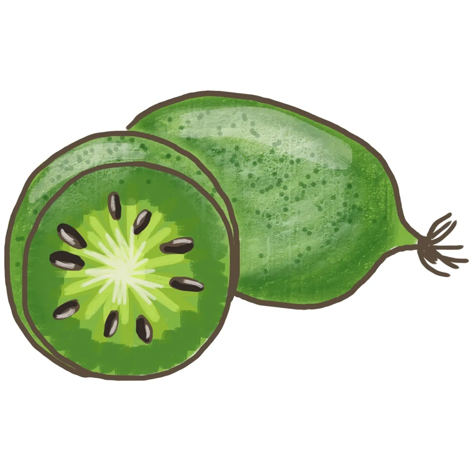 Illustration einer Mini-Kiwi 'Weiki' mit angeschnittener Frucht, grüne Schale, schwarze Kerne.