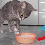 Katze mit fischer Vakuum Pad unter Futternapf, selbsthaftend und wiederlösbar.