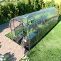 Klasika Slim Gewächshaus 12m² mit Polycarbonat, Tür geöffnet.