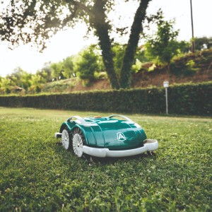 Grün-grauer Ambrogio Mähroboter L60 Elite auf Rasenfläche im Garten.