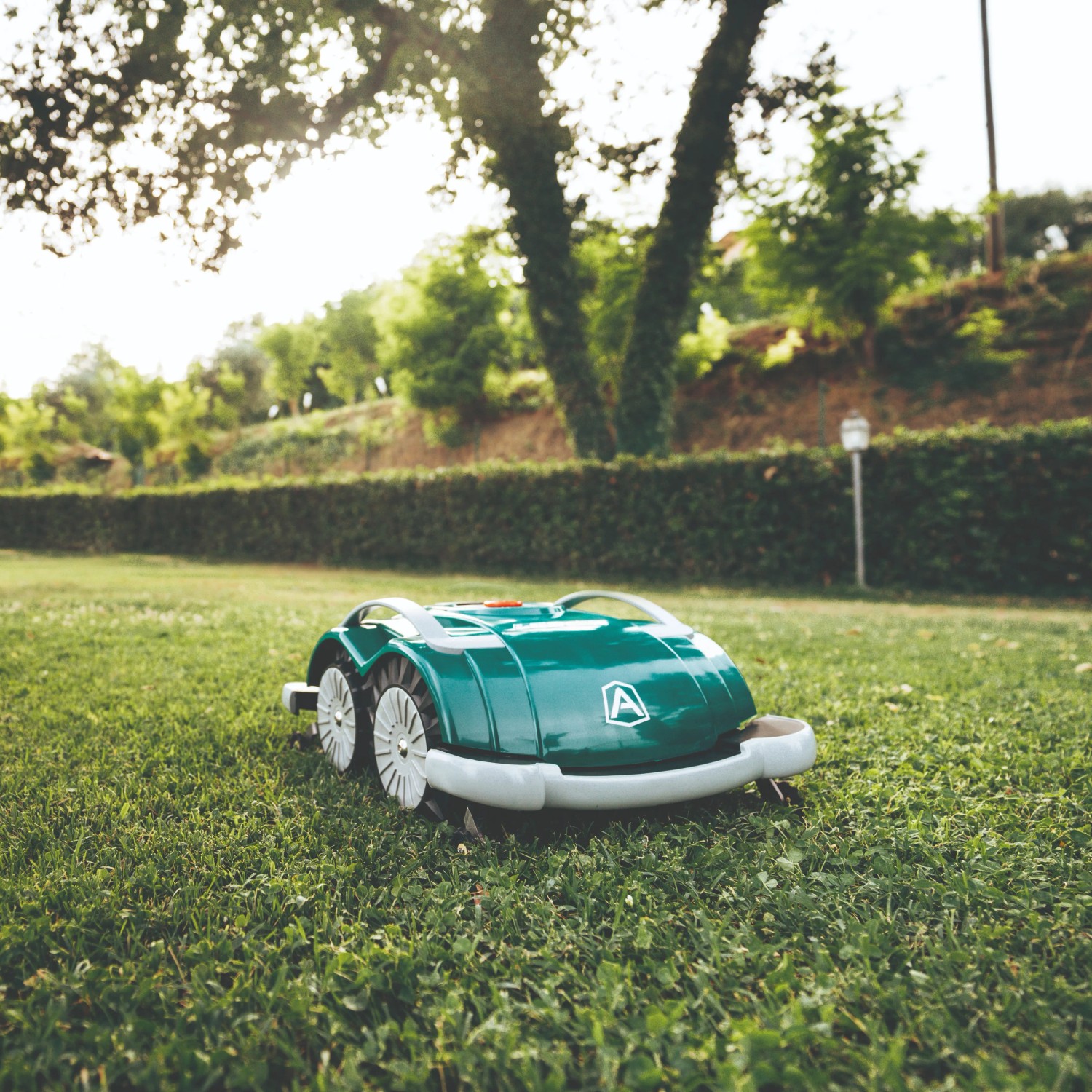 Grün-grauer Ambrogio Mähroboter L60 Elite auf Rasenfläche im Garten.