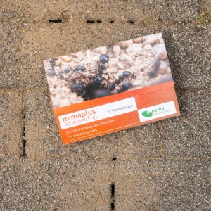Packung e-nema Nematoden gegen Ameisen, biologische Schädlingsbekämpfung.