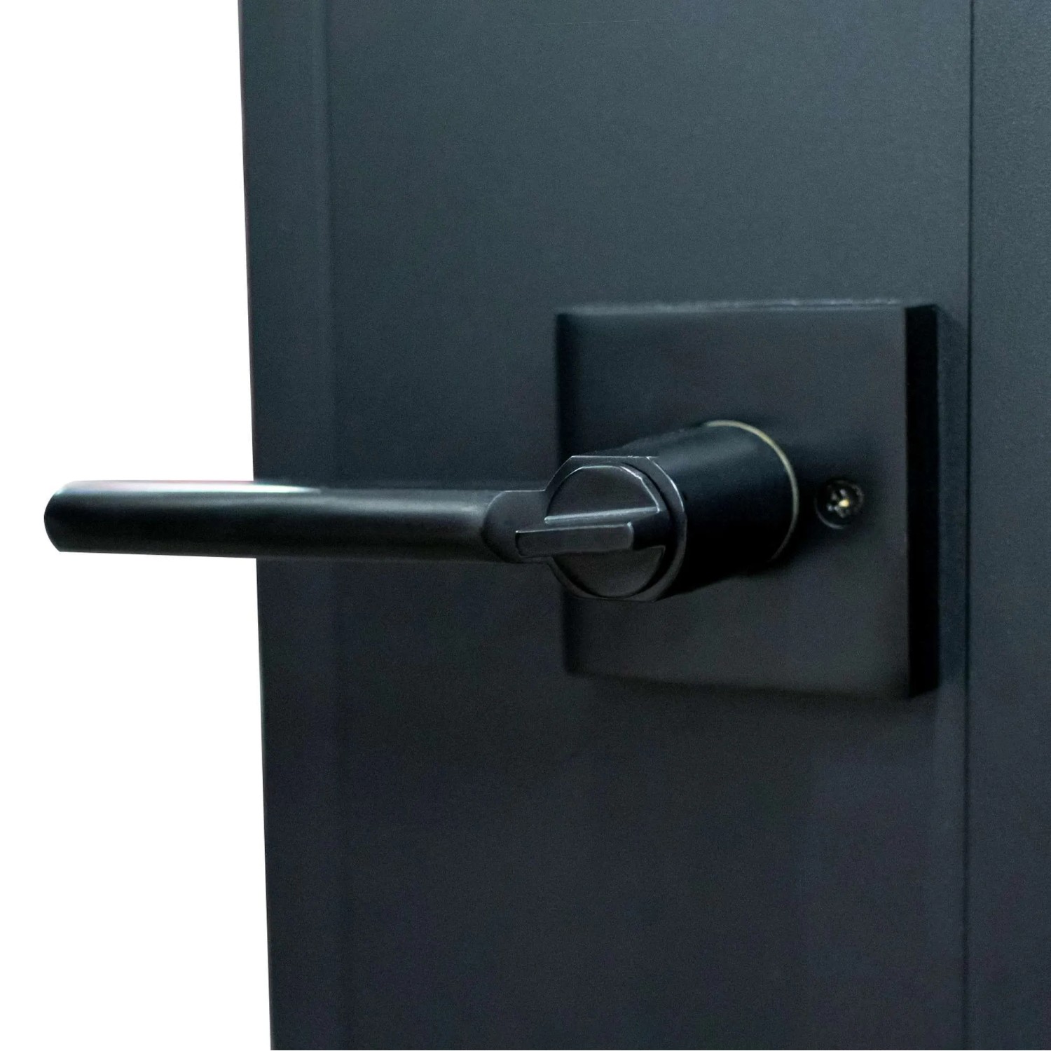 Detailaufnahme: Schwarze Türklinke und Schloss der inova Loft Glastür.