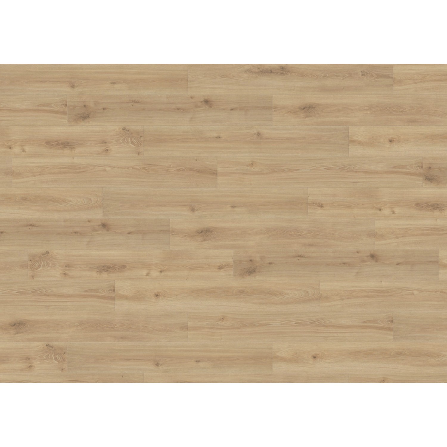 Living by Haro Laminat 7 mm Eiche Olbia: Helle, fugenlose Holzbodenoptik für Wohn- und Gewerberäume.