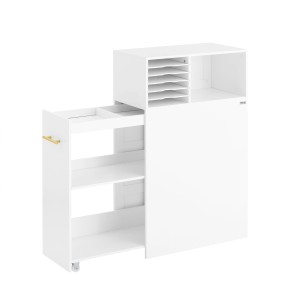 SoBuy Aktenschrank Druckertisch Rollcontainer für Büro und Arbeitszimmer Weiß ASK12-W