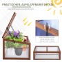 Outsunny Tannenholz Gewächshaus mit Polycarbonat-Platten, offen mit Pflanzen. Ideal als Frühbeet für Schutz & Belüftung.