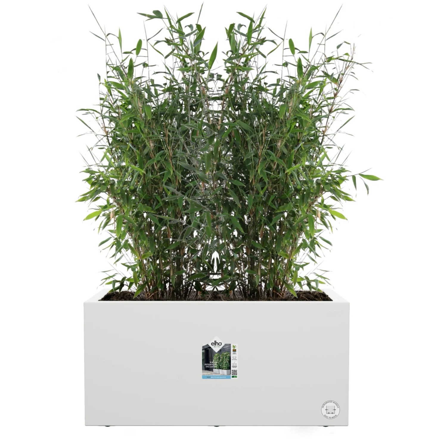 Weißer Elho Vivo Next Lang Blumentopf 59 cm mit Rollen, bepflanzt mit Bambus.