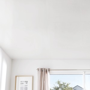 Helle Wohnraum-Szene mit weißen Grosfillex Wandpaneelen Element. Dekor-Paneele für Wand und Decke.