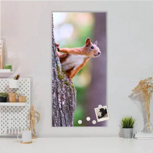 Banjado Magnettafel mit Eichhörnchen Motiv, 37x78cm, silberne Magnetwand für Notizen und Fotos.
