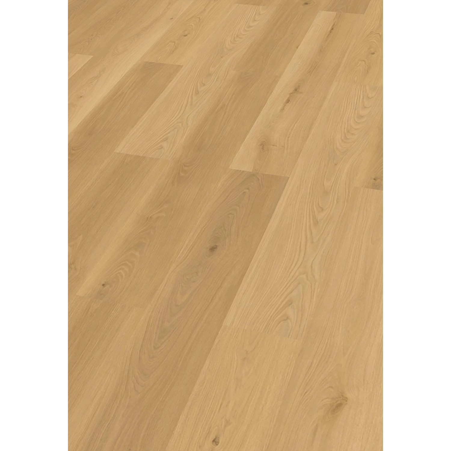 Check One Click-Vinylboden Buchäcker Oak günstig online kaufen