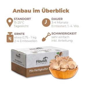 Hawlik Pilzbrut Bio Kastanienseitling Pilze Züchten Set für Anfänger mit Pilzsubstrat und Myzel Inkl. Anleitung
