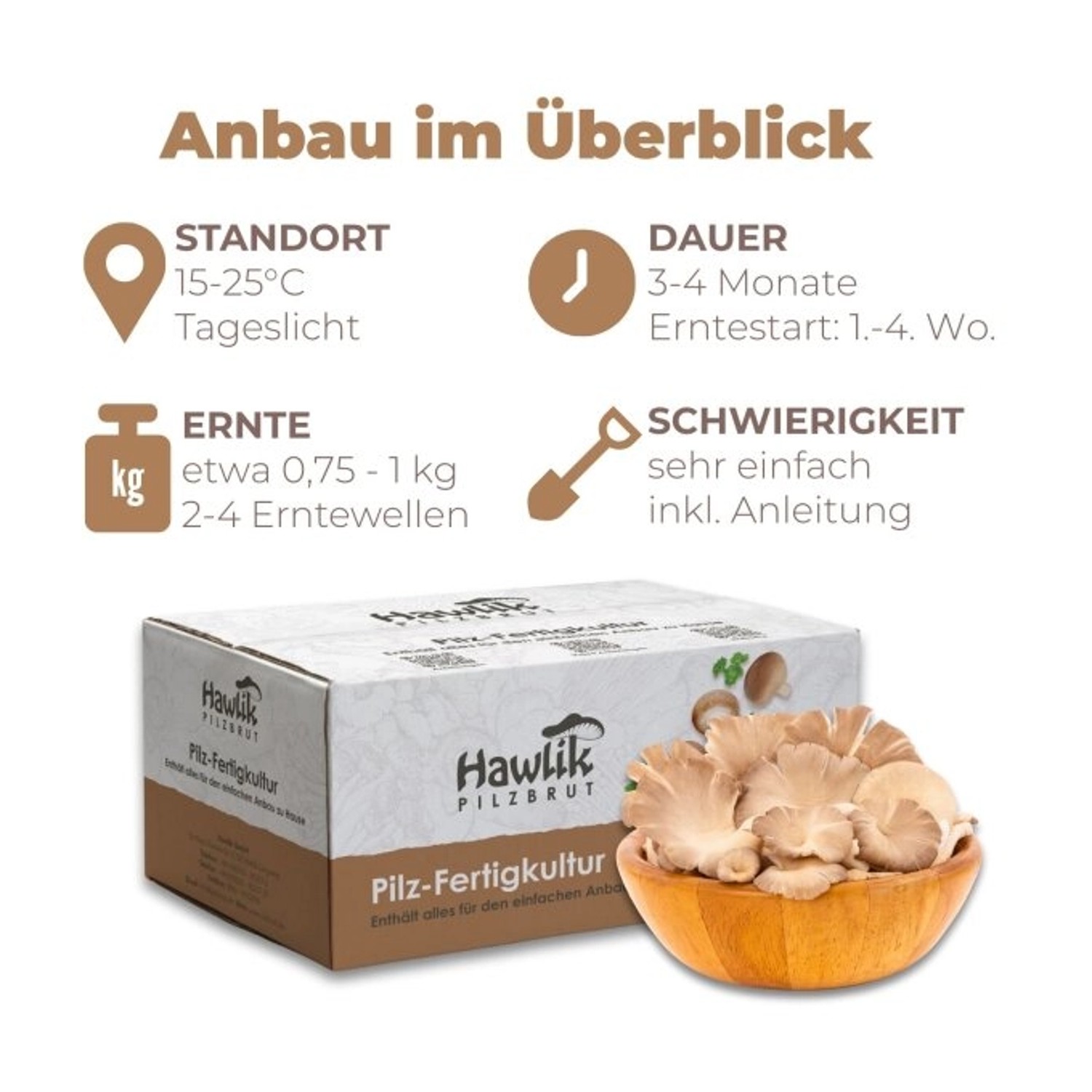 Hawlik Pilzbrut Bio Kastanienseitling Pilze Züchten Set für Anfänger mit Pilzsubstrat und Myzel Inkl. Anleitung_2