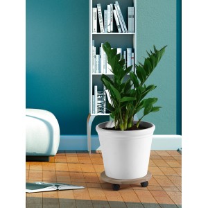 Runder Pflanzenroller aus Buche (Ø 35 cm) mit Pflanze im weißen Topf auf Holzboden.