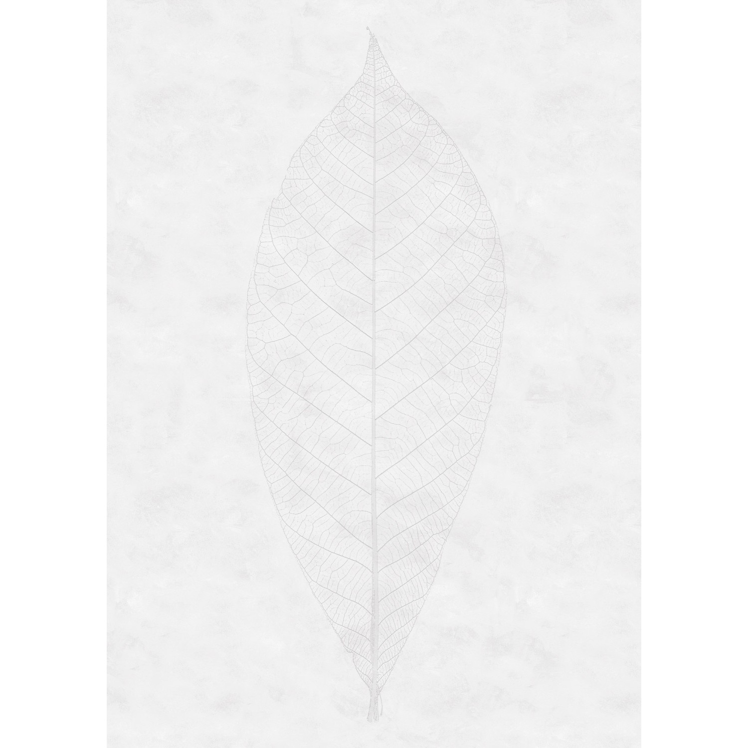 Komar Fototapete Vlies Decent Leaf  200 x 280 cm