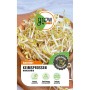 GROW by OBI Keimsprossen Mungbohnen in Holzschale, Saatgut für frische Sprossen.
