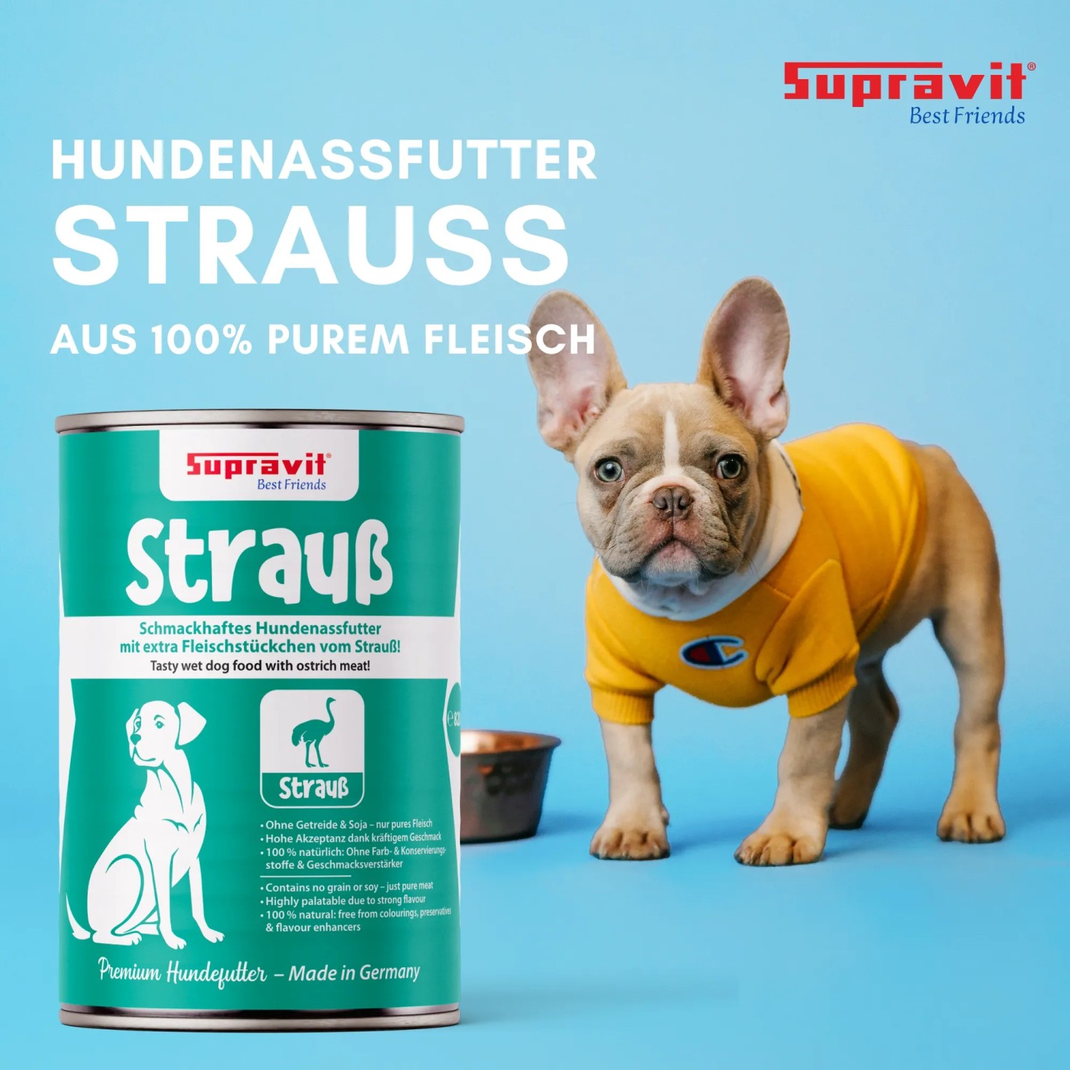Supravit Hundenassfutter Strauß Dose, daneben Französische Bulldogge in gelbem Shirt. Schmackhaftes Straußenfleisch.