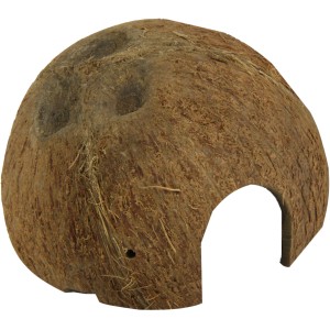 JBL Cocos Cava Höhle: Natürliche Kokosnusshöhle als Terrarium-Dekoration & Versteck für Fische.