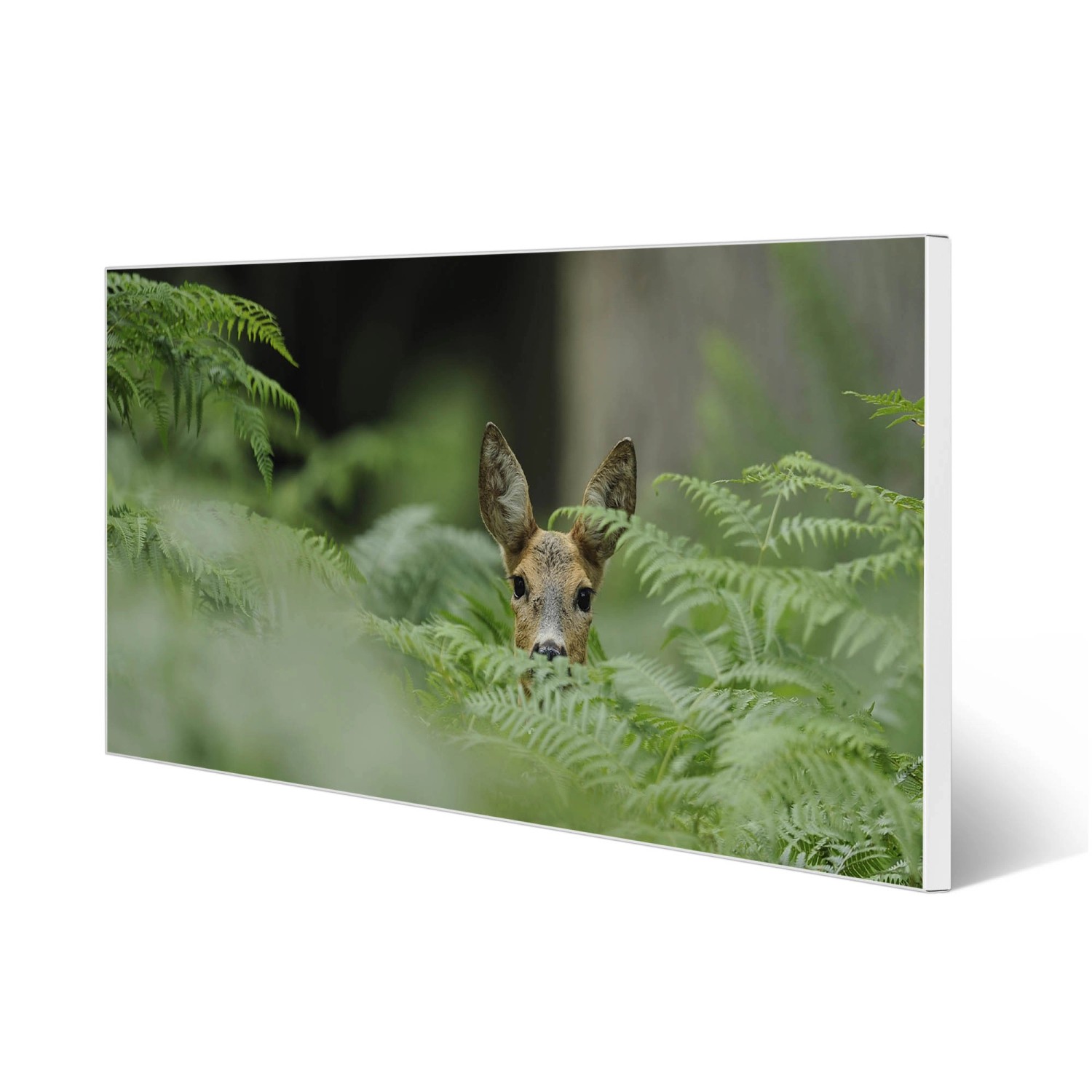 Weiße Magnettafel mit Reh-Motiv. Metall-Pinnwand für Wanddekoration, inkl. 4 Magnete.