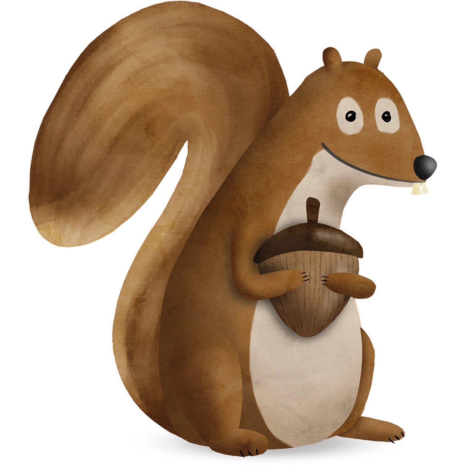 Komar Wandbild Cute Squirrel 40 x 50 cm günstig online kaufen