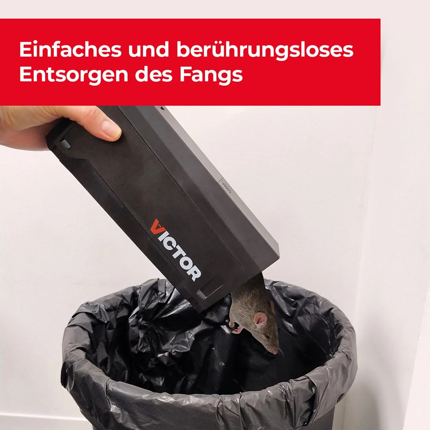 Protect Home elektronische Rattenfalle beim Entleeren in einen Mülleimer.