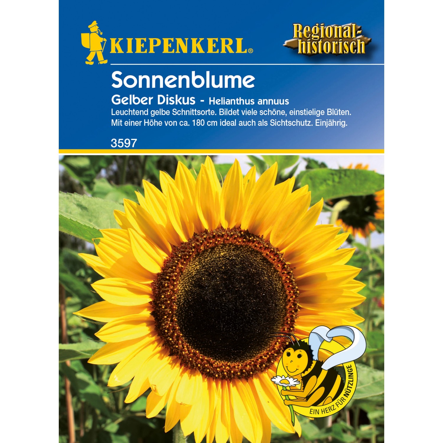 Kiepenkerl Sonnenblume Gelber Diskus Helianthus