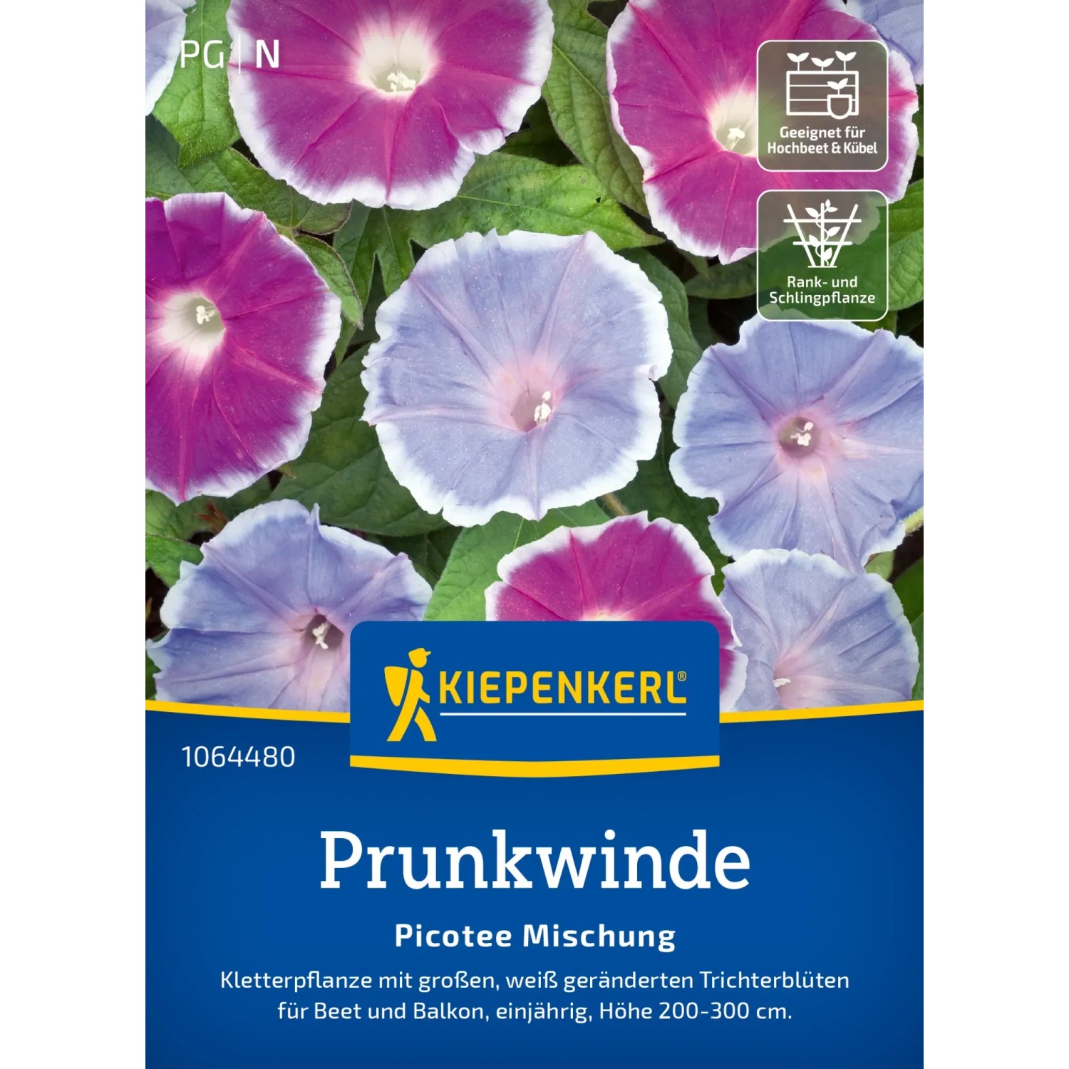 Trichterwinde Picotee Mix