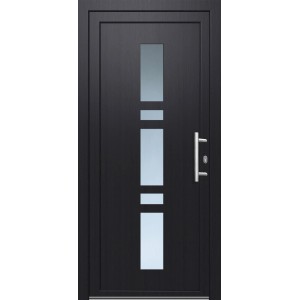 Anthrazitfarbene Kunststoff-Haustür mit Glaseinsätzen, 110x210 cm, Anschlag rechts.