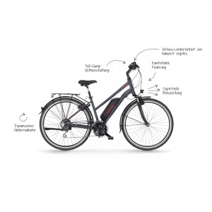 Fischer E-Bike Trekking ETD 1806: Graues E-Bike mit Gepäckträger, Kettenschaltung und Hinterradmotor.