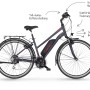 Fischer E-Bike Trekking ETD 1806: Graues E-Bike mit Gepäckträger, Kettenschaltung und Hinterradmotor.
