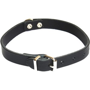 Schwarzes Heim Hundehalsband aus Softleder, 25 mm breit und 60 cm lang.