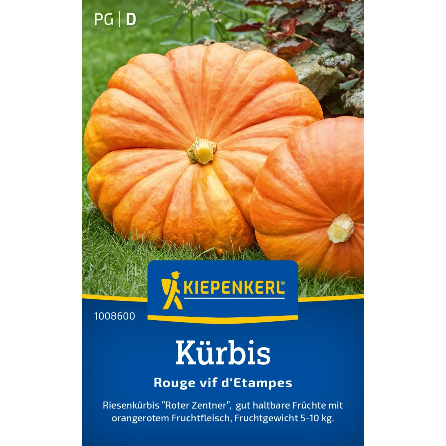 Kiepenkerl Kürbis "Rouge vif d'Etampes"