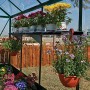 Palram Hängebord-Set im Gewächshaus mit Blumen. Platzsparendes Gewächshaus-Zubehör.