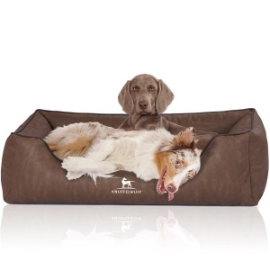 Knuffelwuff Hundebett Rockland, orthopädisches Kunstleder-Bett in Braun mit zwei Hunden.