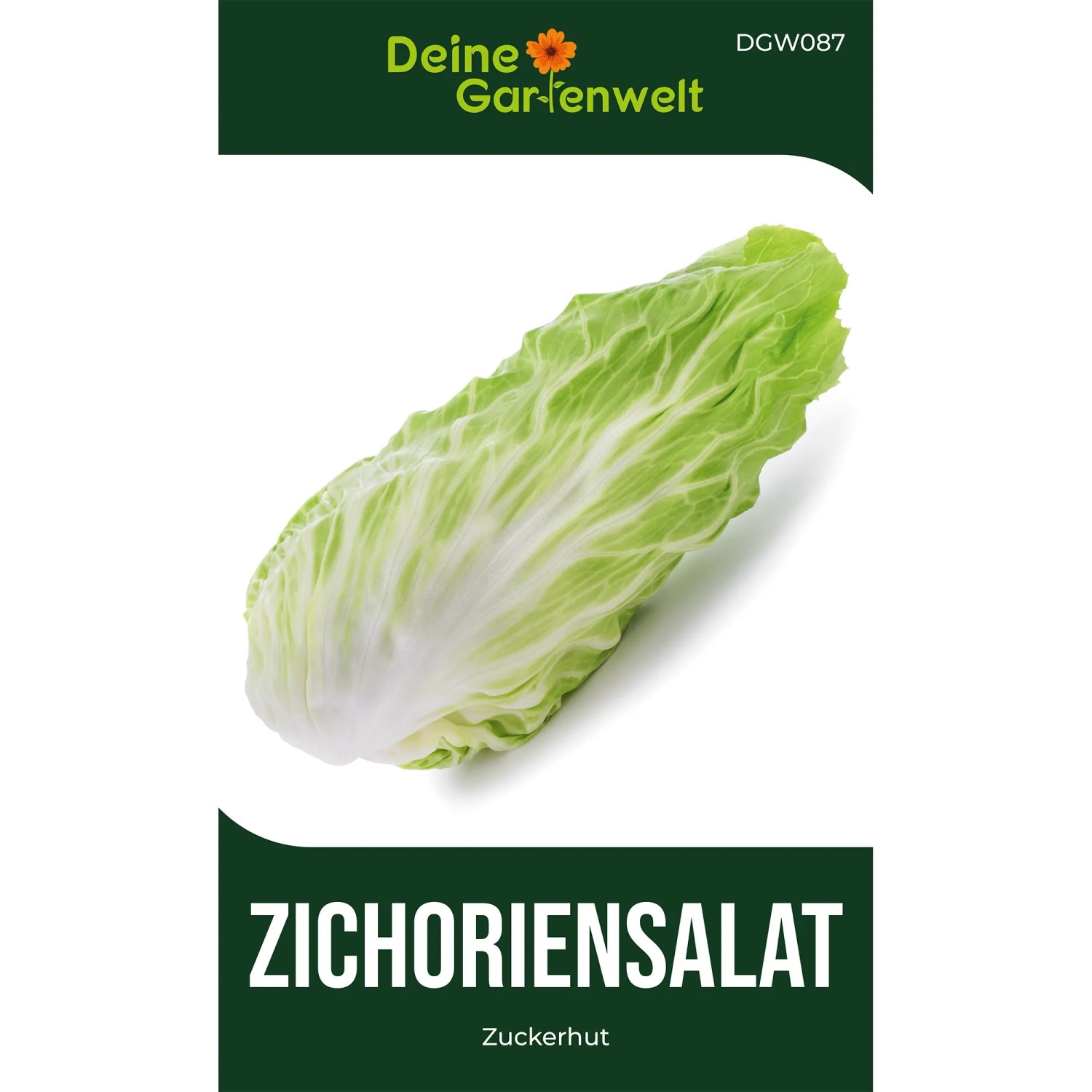 Deine Gartenwelt Zichoriensalat Zuckerhut Samen