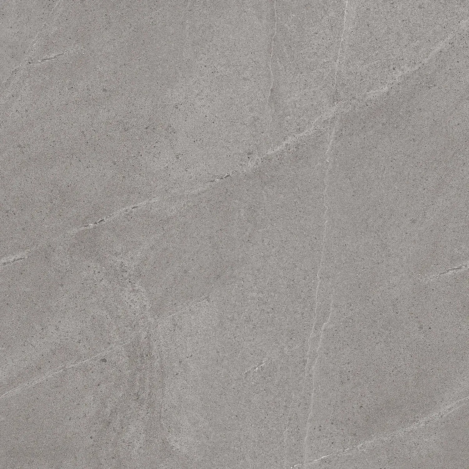 Class Tile Bodenfliese Burlington Feinsteinzeug Grey 60 cm x 60 cm günstig online kaufen