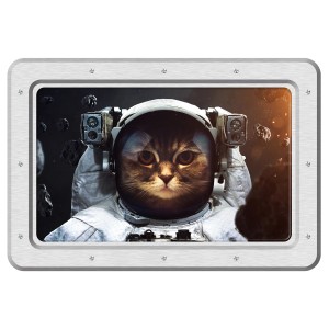 Sanders Wandtattoo: Katze im Astronautenanzug, braun/hellgrau, 42,5x65cm. Dekoratives Wandtattoo für Kinderzimmer.