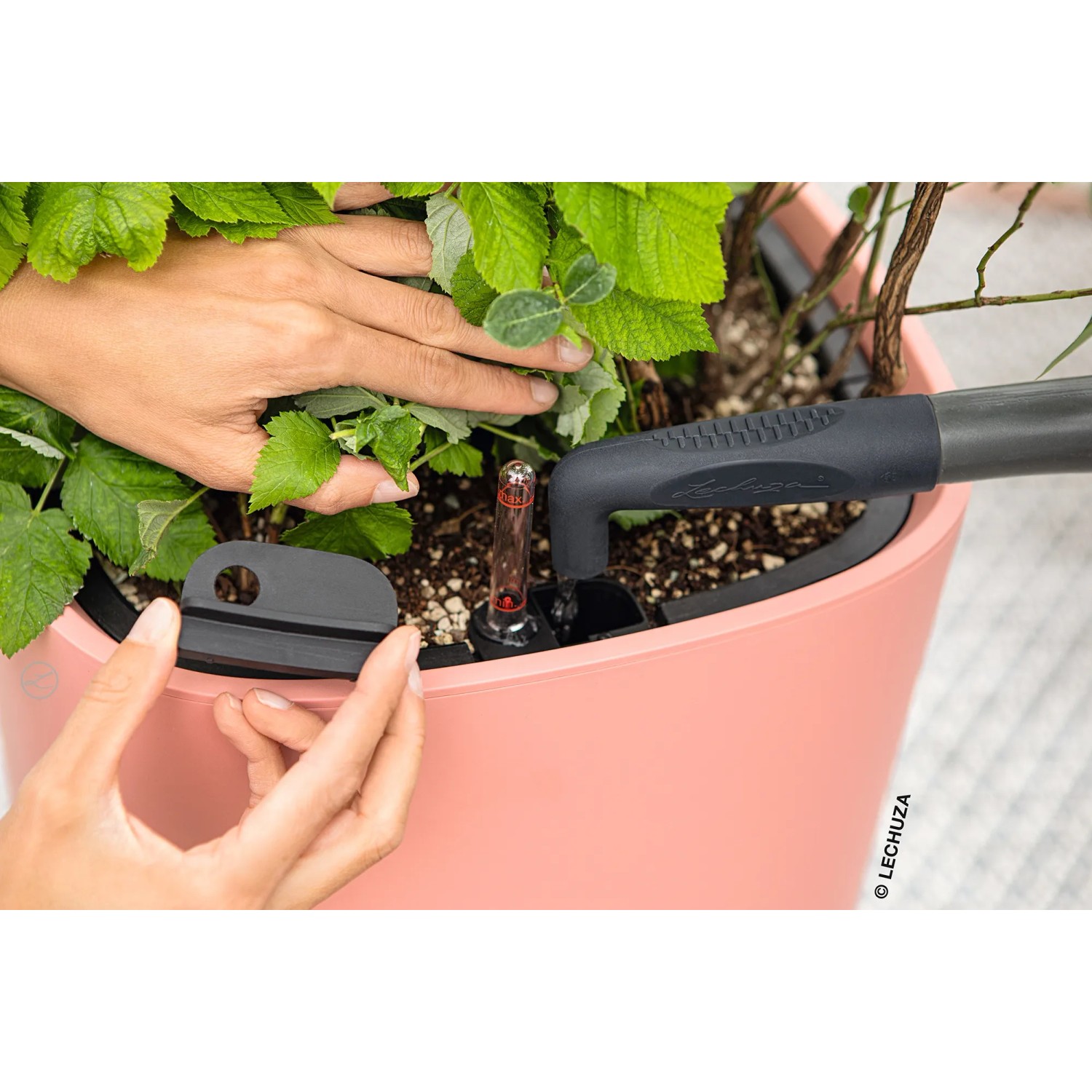 Korallroter Lechuza Pila Color Pflanzkübel mit Bewässerungssystem und Pflanze.