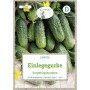 Saatgutpackung Grüne Fee Einlegegurke Vorgebirgstrauben mit knackigen, grünen Gurken.