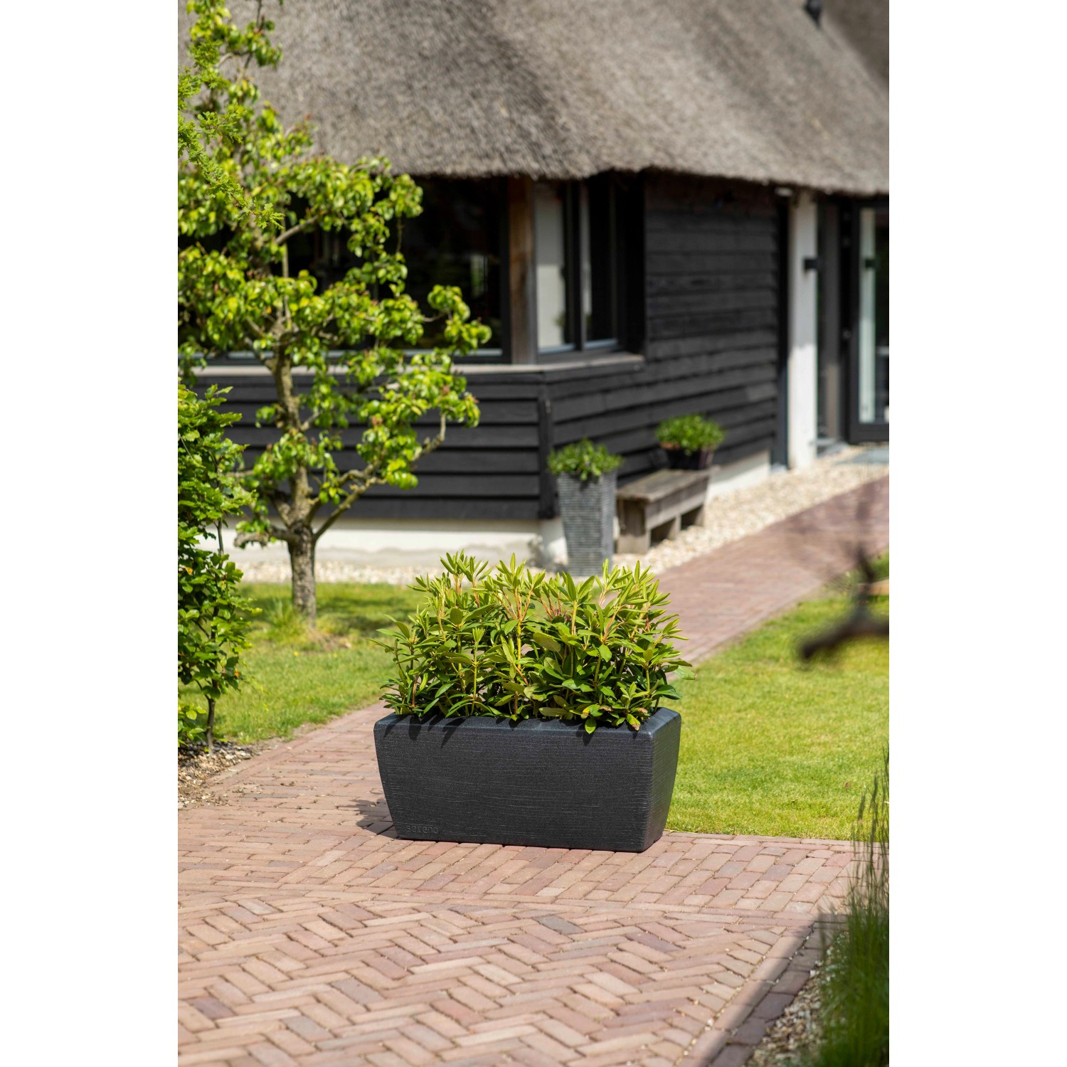 Rechteckiger, schwarzer Capi Pflanzkübel Granite (60x35x40 cm) mit Bepflanzung im Garten.