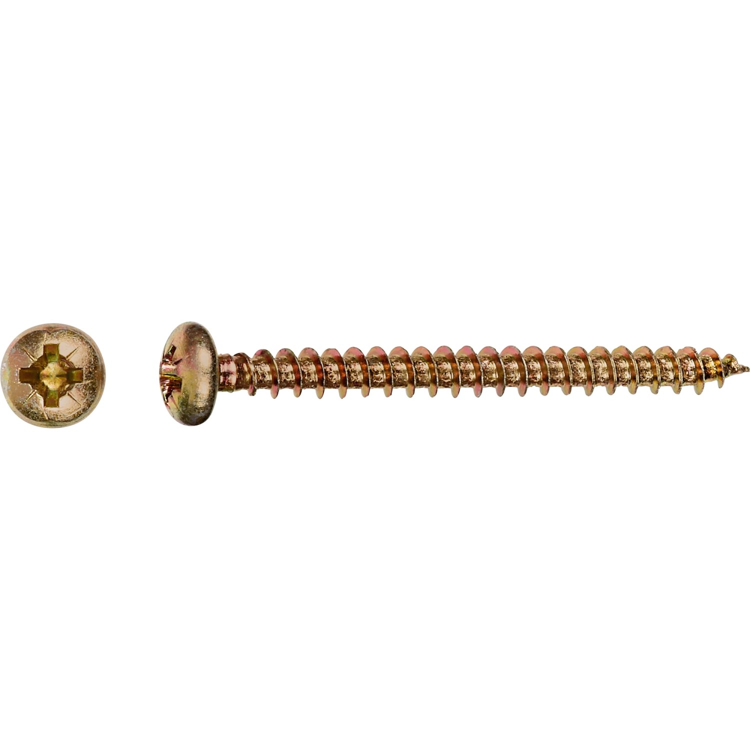 LUX Halbrundkopf Universalschraube PZ-Antrieb Ø 5 mm x 50 mm 40 Stück