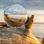 Pro-Art Glasbild „Drop on Water“: Landschaft mit Glaskugel auf Treibholz am Strand.