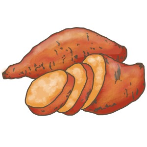 Illustration einer ganzen und geschnittenen Süßkartoffel. Gemüseart.