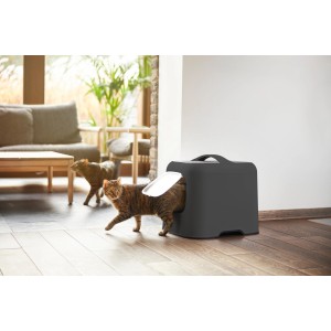 Anthrazitfarbene Rotho Katzentoilette Biala mit Katze beim Betreten.