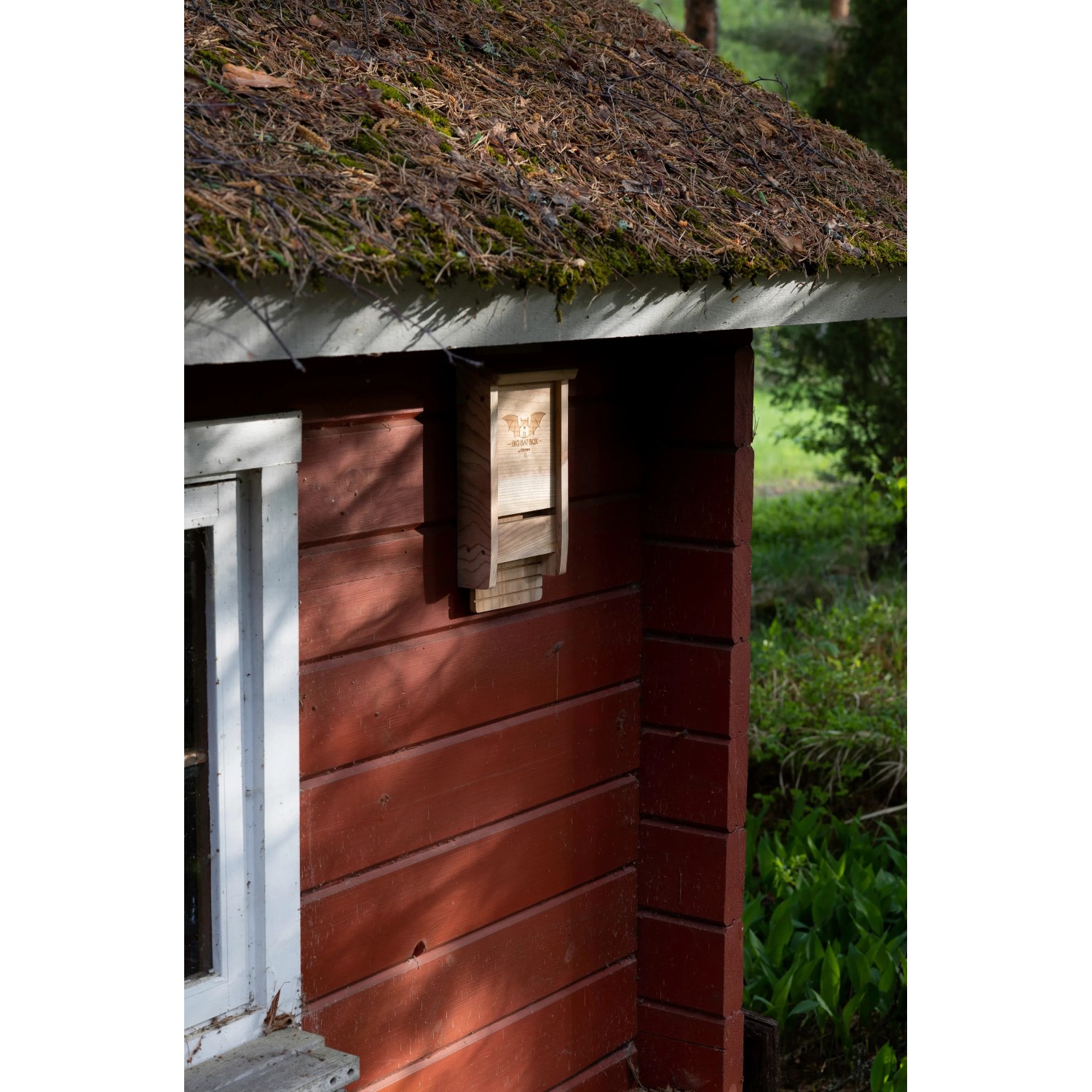 Wild Yard Fledermaushaus aus Zedernholz am roten Holzhaus. Vogelhaus für bis zu 50 Fledermäuse.