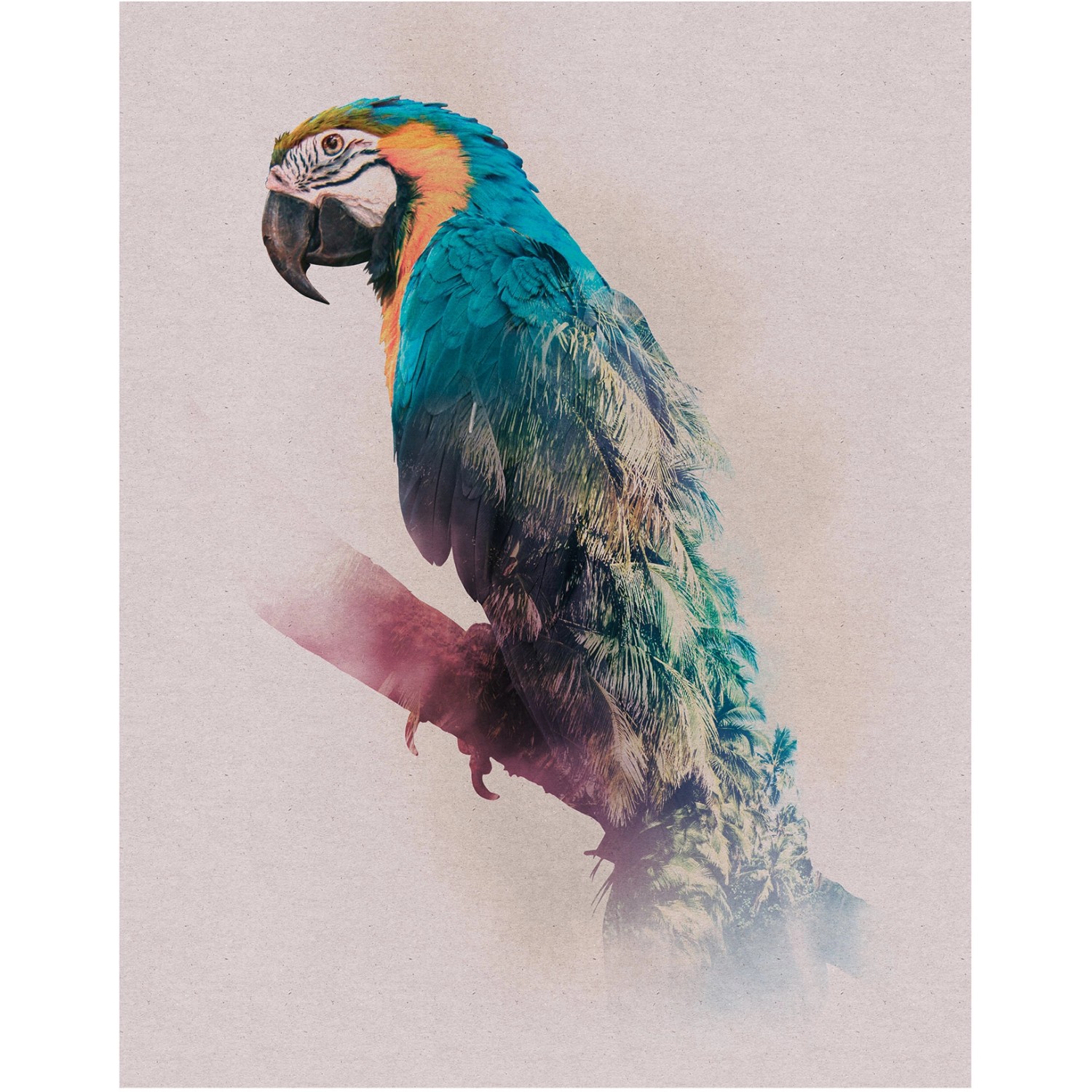 Komar Wandbild Animals Parrot 40 x 50 cm günstig online kaufen