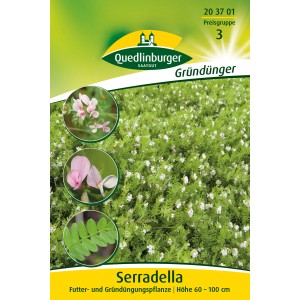Quedlinburger Serradella Blumensamen Großpackung: Einjährige Gründüngung und Futterpflanze für Insekten.